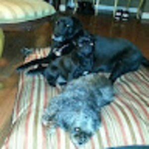 Meet your Posher, Meagan